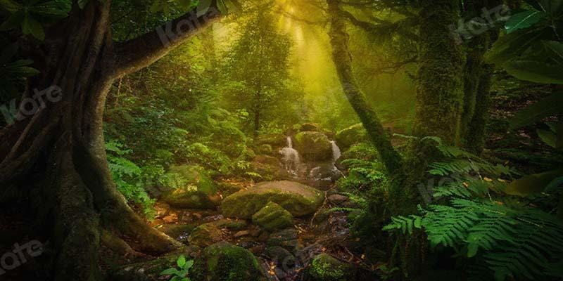 Kate Jungle Forest Summer Cake Smash Backdrop Designed by Chain Photography - Kate Backdrop