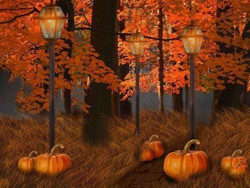 Katebackdrop£ºKate Fall Maple Leaves Thanksgiving Pumpkin Backdrop for Photography Designed By Jerry_Sina