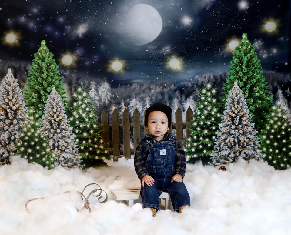 Kate Christmas Night Pine Trees Farm Backdrop Designed By Jerry_Sina - Kate Backdrop