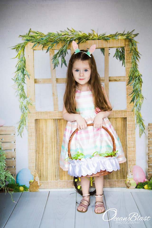 Katebackdrop£ºKate Easter Barn Door Spring Decoration Backdrop