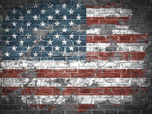 Katebackdrop鎷㈡綖Kate Graffiti American Independence Day Brick Backdrop