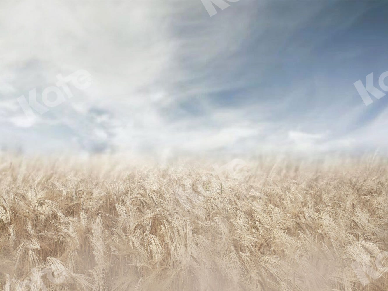 Kate Fall Backdrop Blurred Wheatfield for Photography - Kate Backdrop