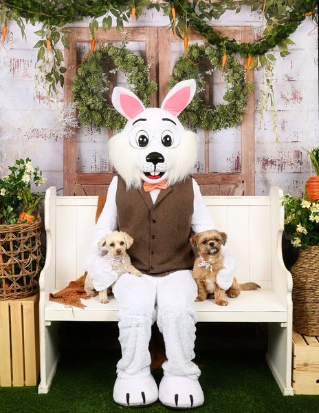 Kate Summer/Spring Green Plants Barn Door Backdrop Designed by Jia Chan Photography - Kate Backdrop