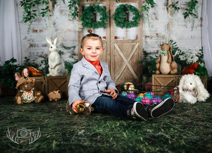 Kate Summer/Spring Green Plants Barn Door Backdrop Designed by Jia Chan Photography - Kate Backdrop