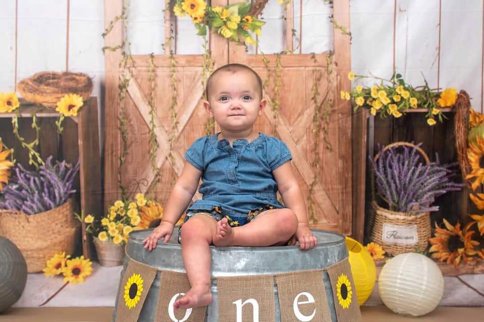 Kate Sunflower Summer Door Backdrop Designed by Jia Chan Photography - Kate Backdrop