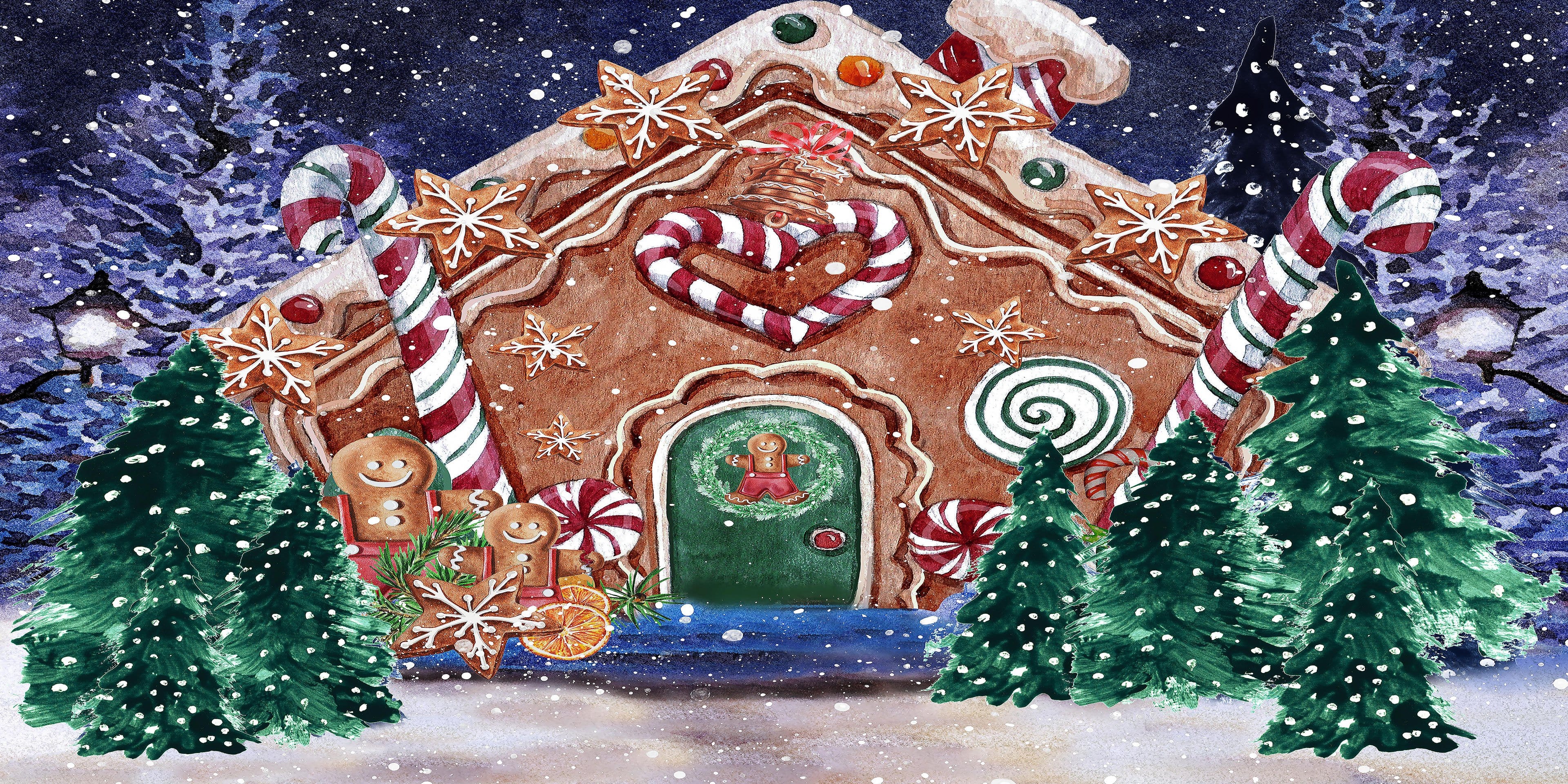 Kate Christmas Hot Cocoa Backdrop Outside Gingerbread House Designed by GQ - Kate Backdrop