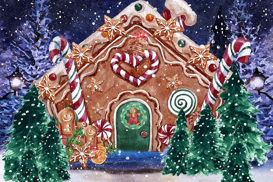 Kate Christmas Hot Cocoa Backdrop Outside Gingerbread House Designed by GQ - Kate Backdrop