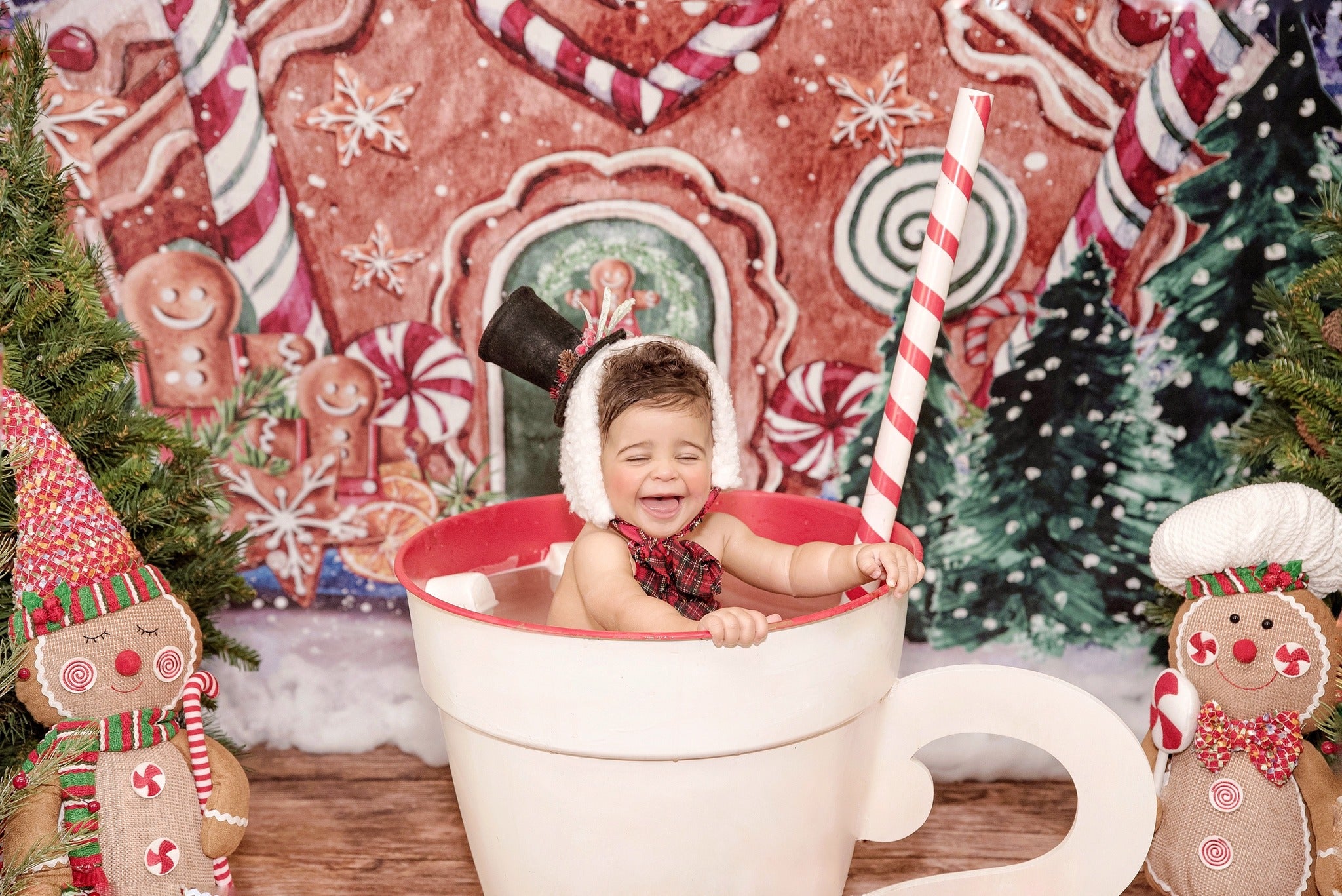 Kate Christmas Hot Cocoa Backdrop Outside Gingerbread House Designed by GQ - Kate Backdrop