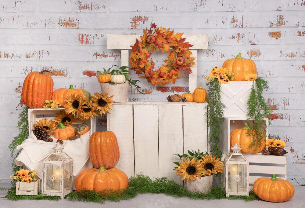 Kate Fall/thanksgiving Pumpkins Stand Backdrop Designed by Emetselch - Kate Backdrop