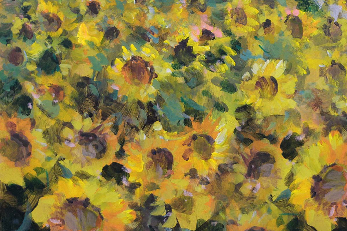 Kate Fine Art Florals Sunflower Field Backdrop Designed by GQ - Kate Backdrop