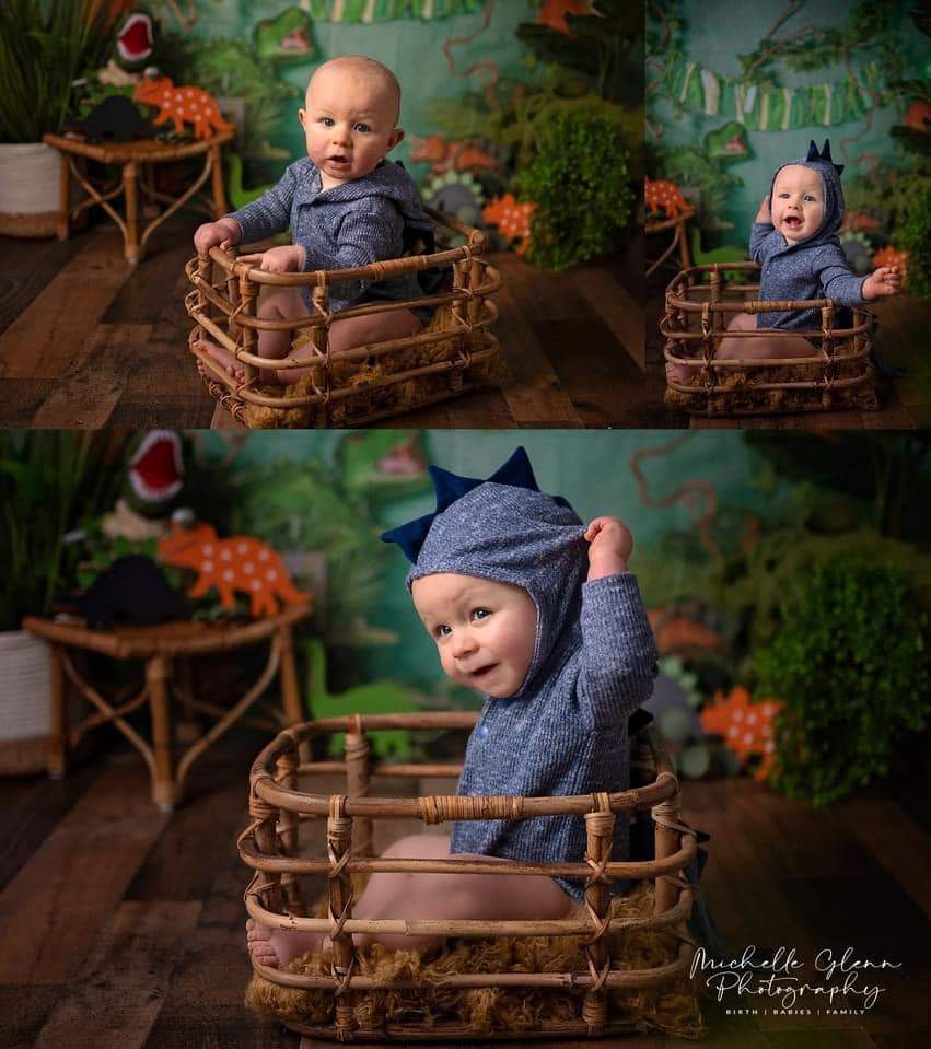 Kate Wild Dinosaur Backdrop Designed by Jia Chan Photography - Kate Backdrop