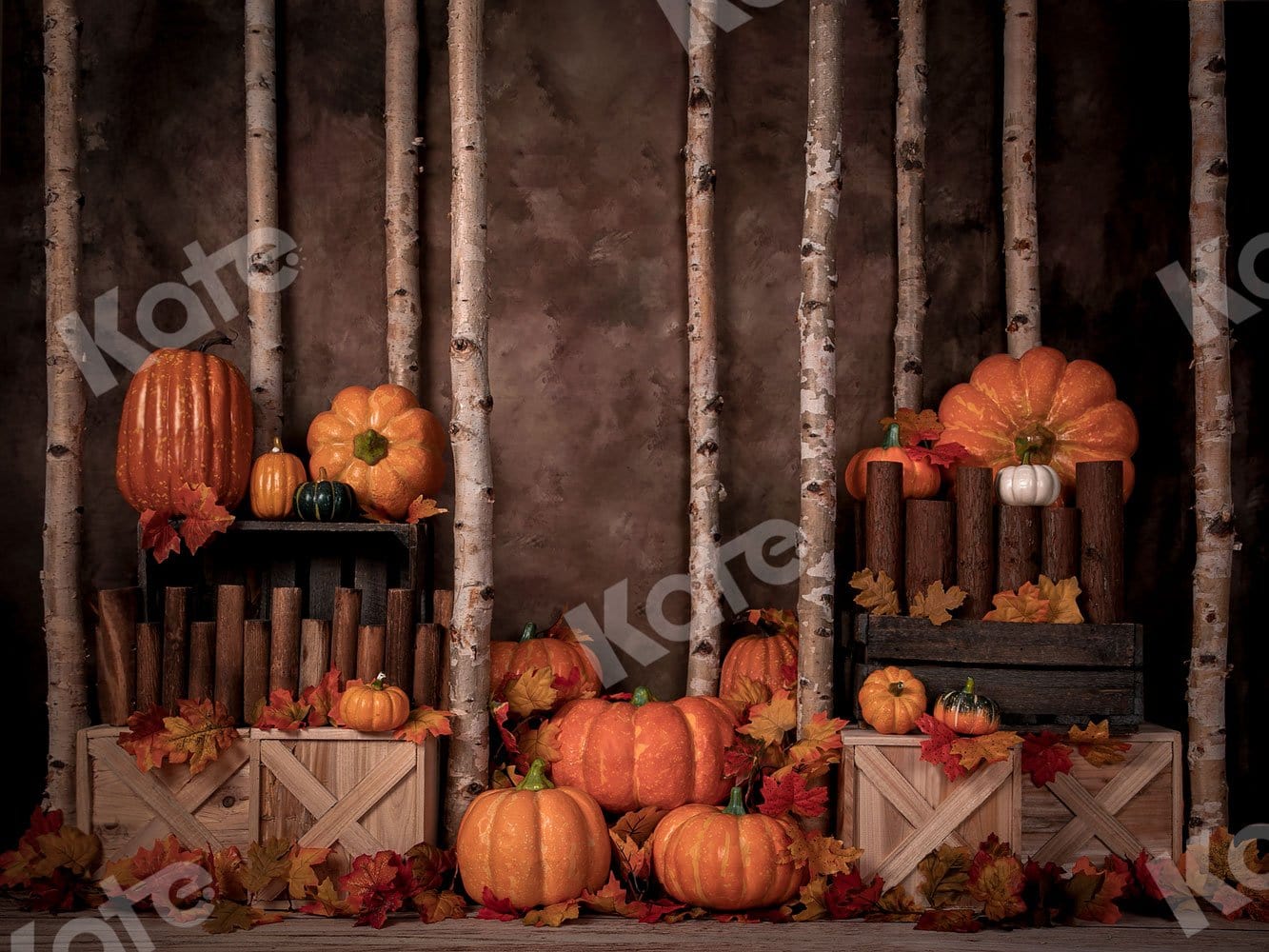 Kate Autumn/Thanksgiving Pumpkins Backdrop Designed by Jia Chan Photography