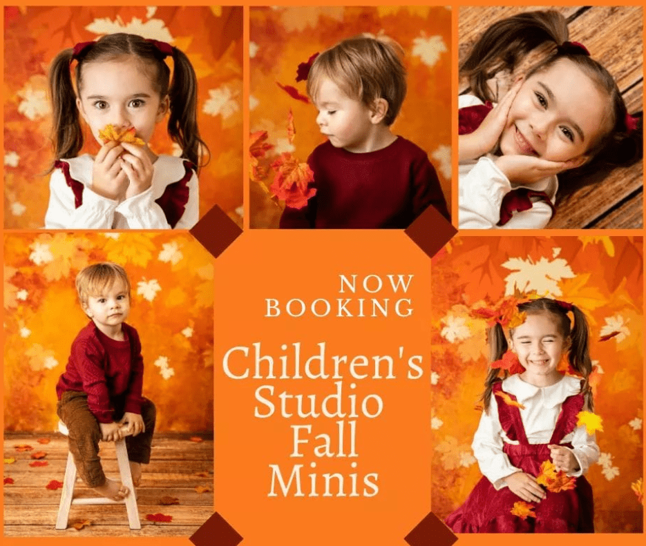 Kate Fall Backdrop Yellow Fallen Leaves Designed by Chain Photography - Kate Backdrop