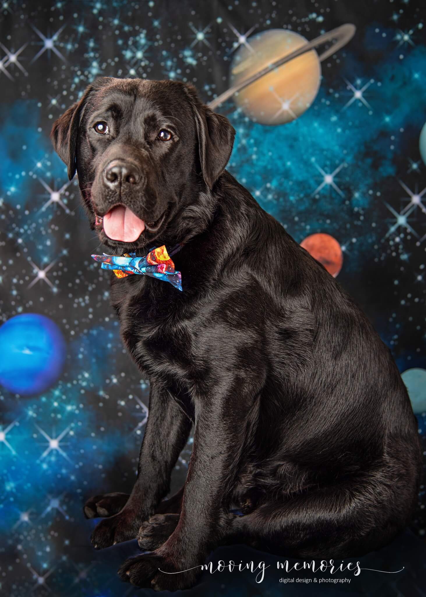 Kate Universe Space Backdrop Asteroid Stars Designed by GQ - Kate Backdrop