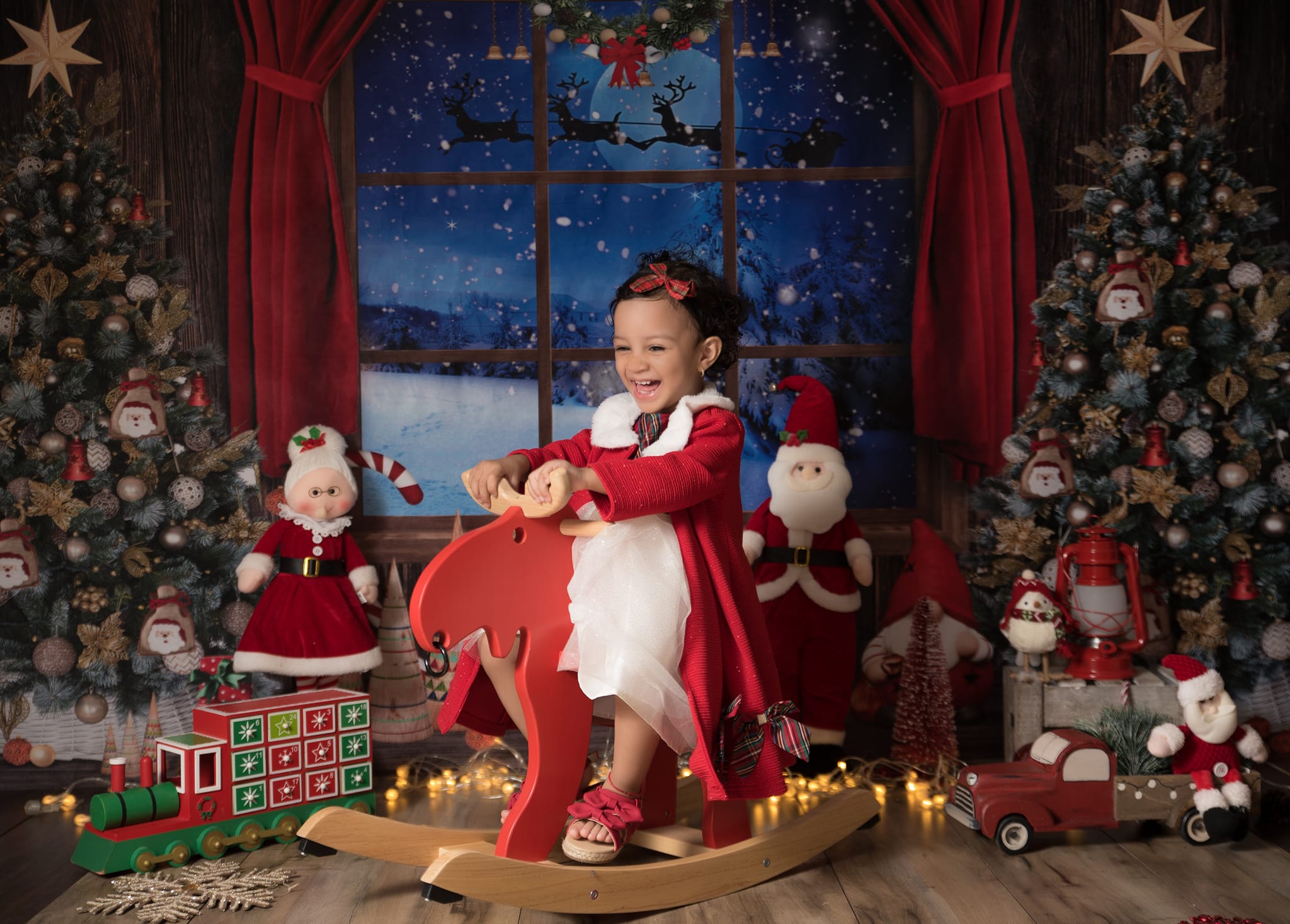 Kate Christmas Trees Window Backdrop Designed by Chain Photography - Kate Backdrop