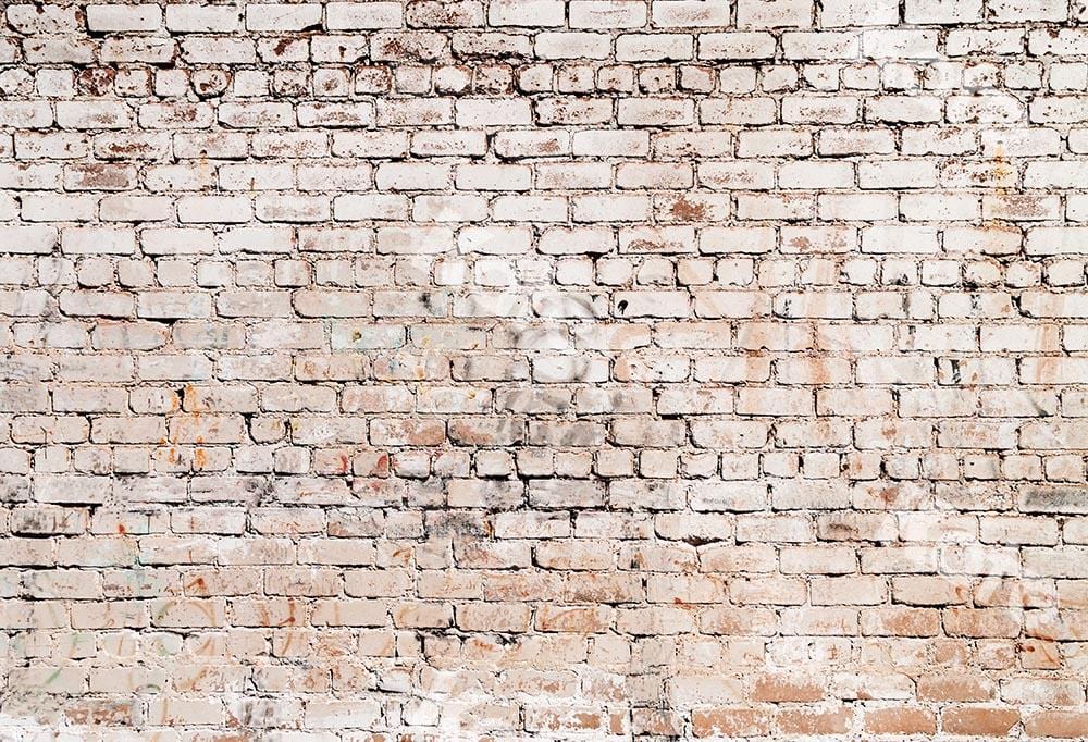 Kate Retro Brick Graduation Backdrop Designed by Kate Image - Kate Backdrop