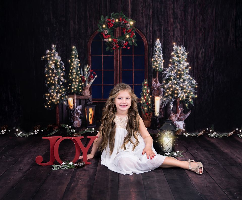 Kate Christmas Window Wooden Backdrop Designed by Emetselch - Kate Backdrop