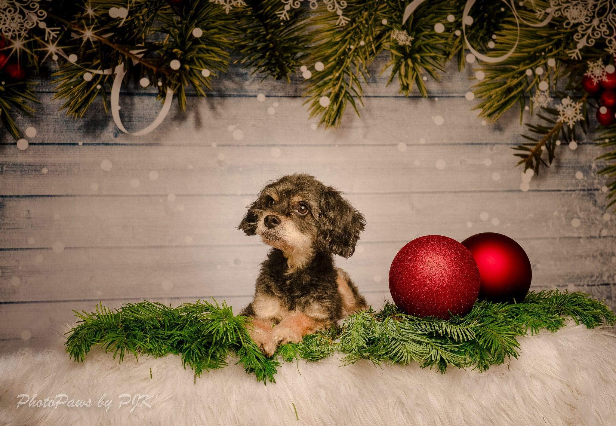 Katebackdrop£ºKate wooden bokeh Christmas backdrop Pine branches decoration