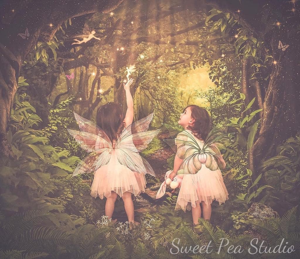 Kate Forest With Green Trees And Creek Spring for photography - Kate Backdrop