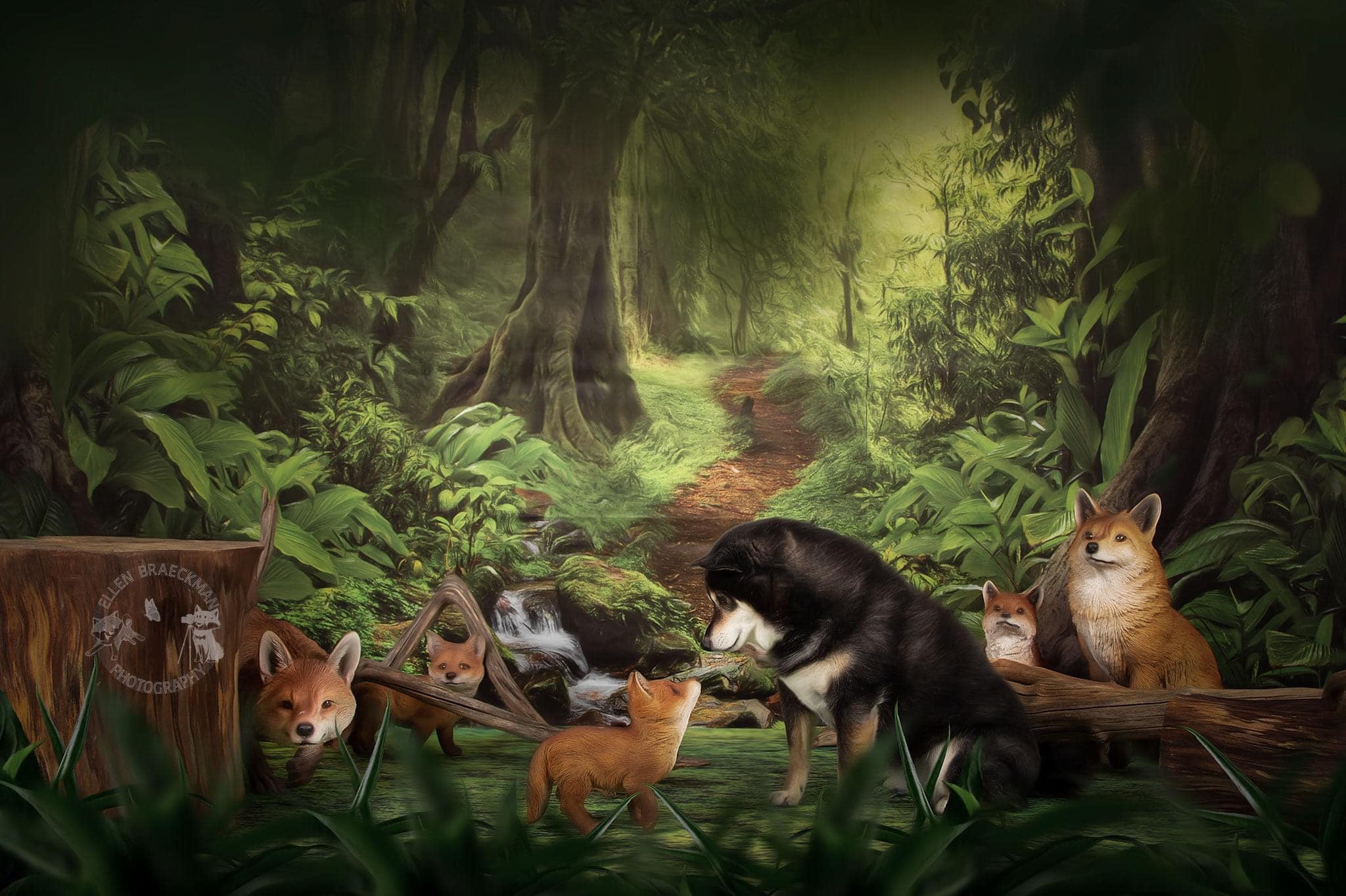 Kate Forest With Green Trees And Creek Spring for photography - Kate Backdrop