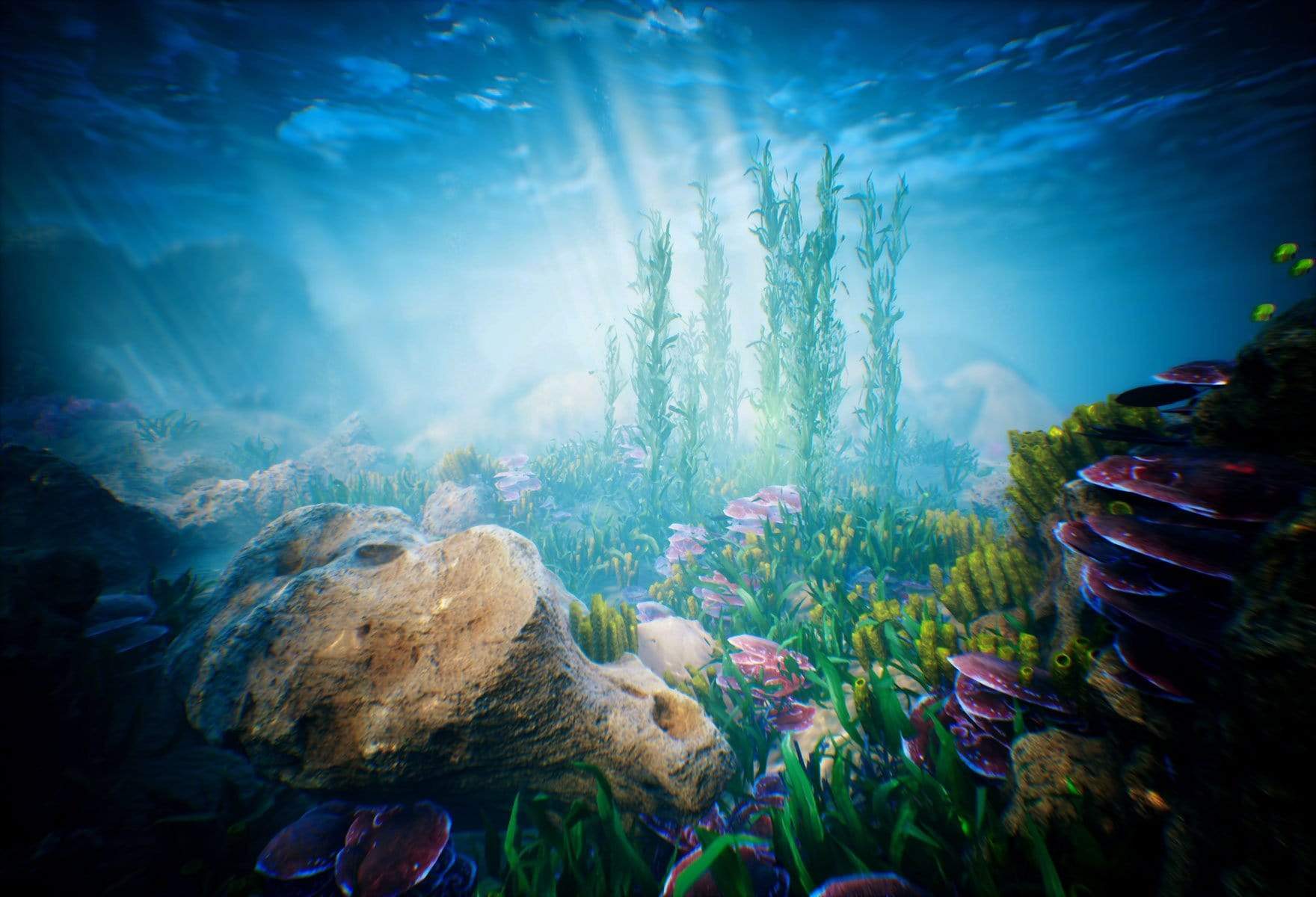 Katebackdrop鎷㈡綖Kate Sweet summer Underwater world backdrop for Photography