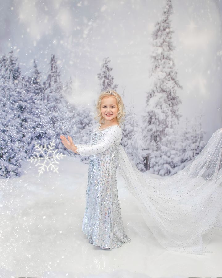 Kate Christmas Winter Wonderland With Trees Backdrop for Photography - Kate Backdrop