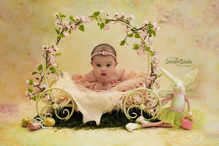 Katebackdrop鎷㈡綖Kate Texture Retro Flowers Backdrop for Newborn