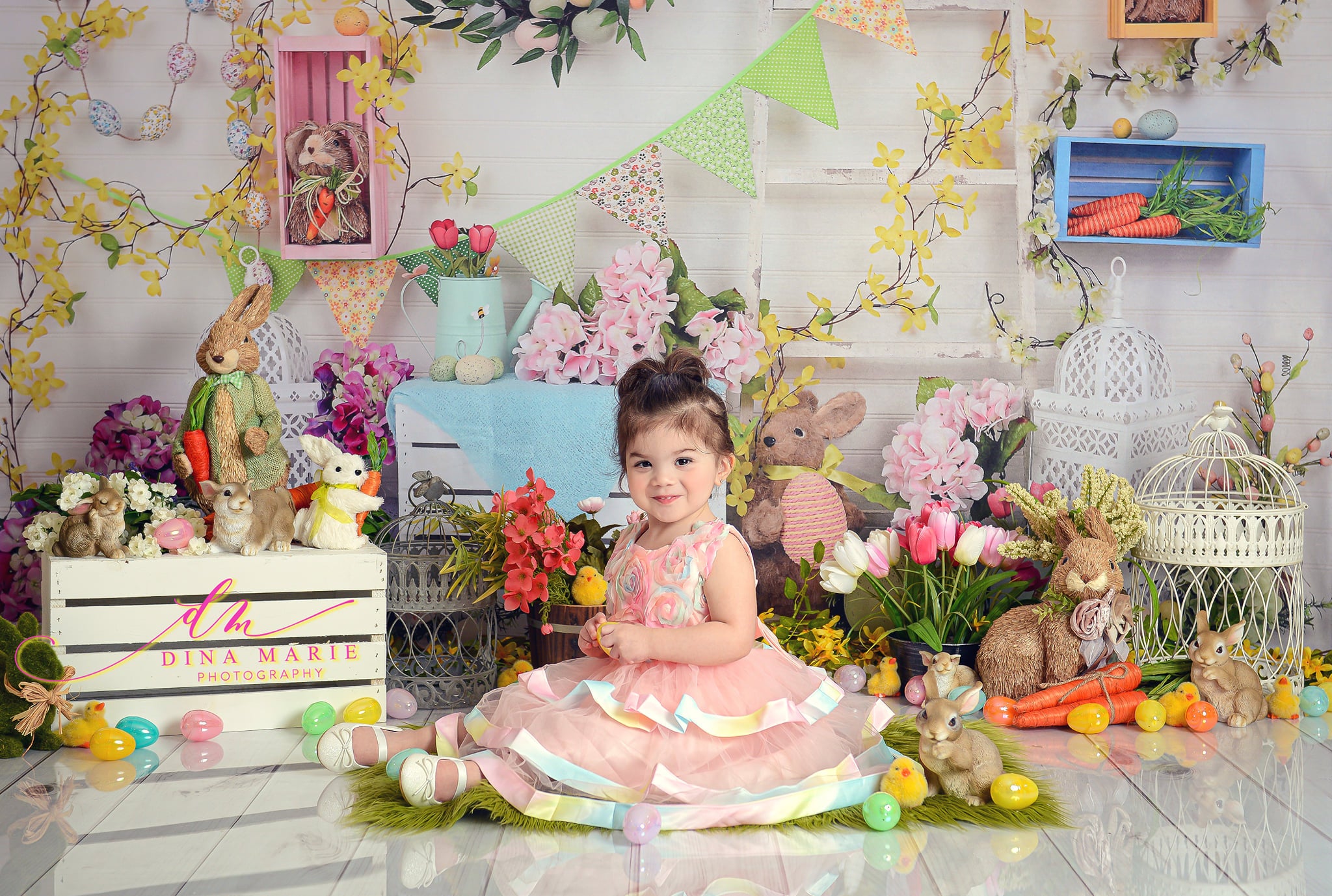 Kate Hello Spring Home Backdrop for Easter session - Kate Backdrop