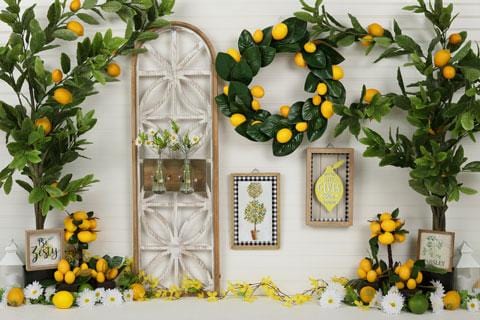Kate Lemon Be Zesty Summer Backdrop for Photography - Kate Backdrop