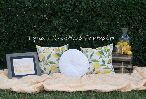 Katebackdrop鎷㈡綖Kate Holiday Picnic Pillows Spring Backdrop for Photography Designed by Tyna Renner