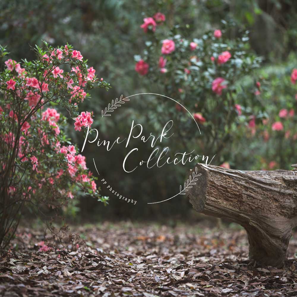 Kate Garden with log bench spring Backdrop for Photography Designed by Pine Park Collection
