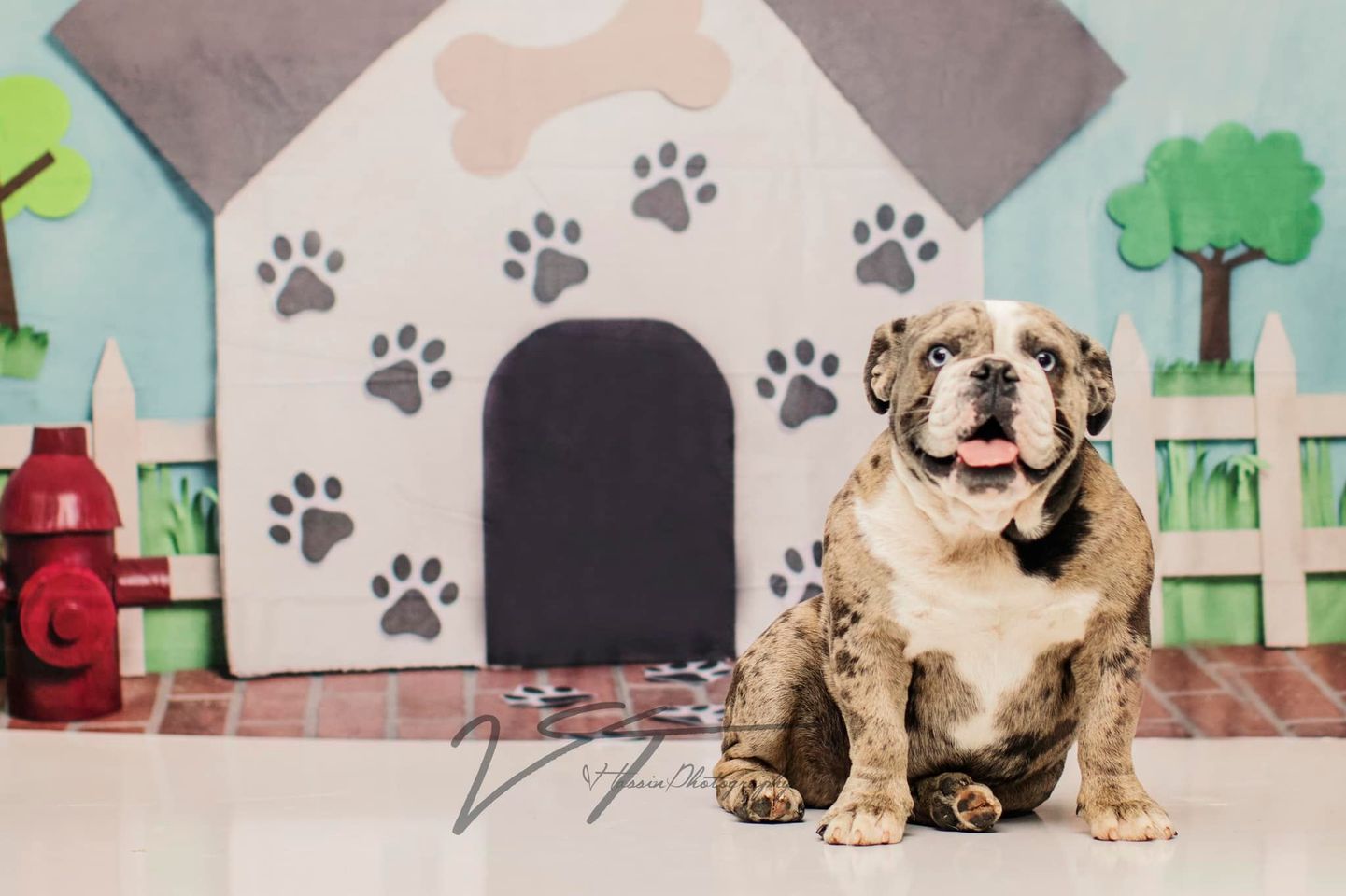 Kate Pet Park Sky and Clouds Spring Tree Children Backdrop for Photography Designed by Erin Larkins - Kate Backdrop