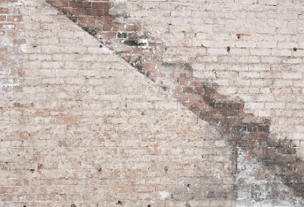 Katebackdrop鎷㈡綖Distressed Brick combination backdrops for photography( 4 backdrops in total )