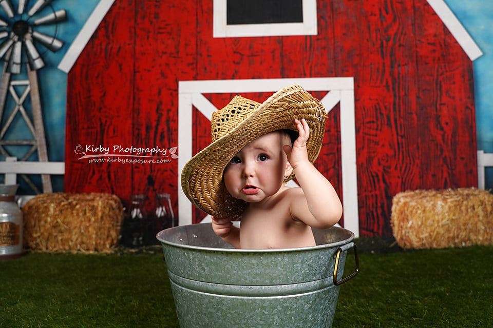 Kate Barnyard Fun Children Summer Backdrops Designed by Arica Kirby - Kate Backdrop