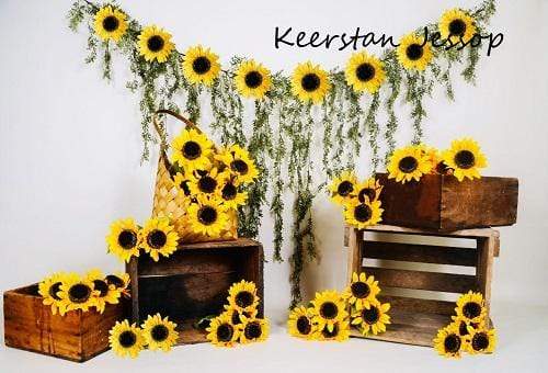 Katebackdrop鎷㈡綖Kate Sunflower Summer Backdrop for Photography Designed by Keerstan Jessop