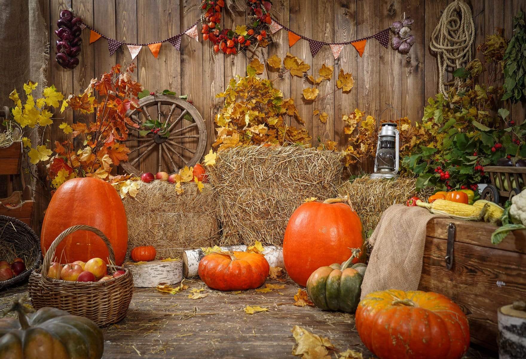 Katebackdrop£ºKate Autumn Harvest Thanksgiving Pumpkins Backdrop for Photography