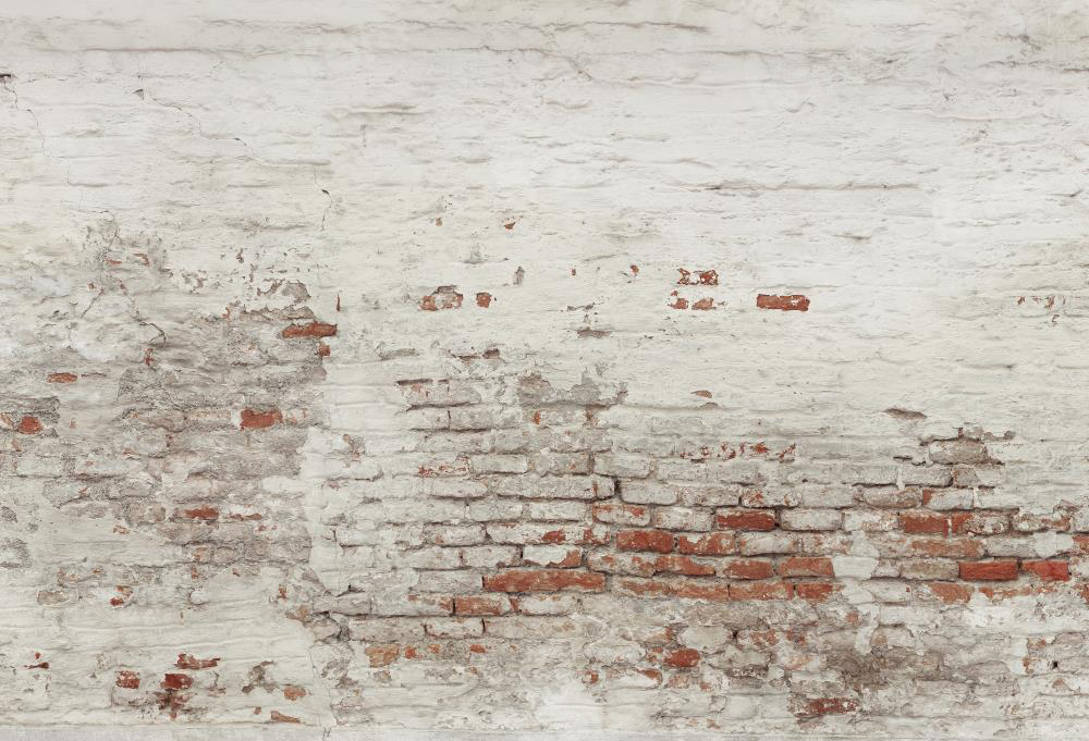 Kate Damaged Brick White Wall  Backdrop for Photography Designed by Pine Park Collection - Kate Backdrop