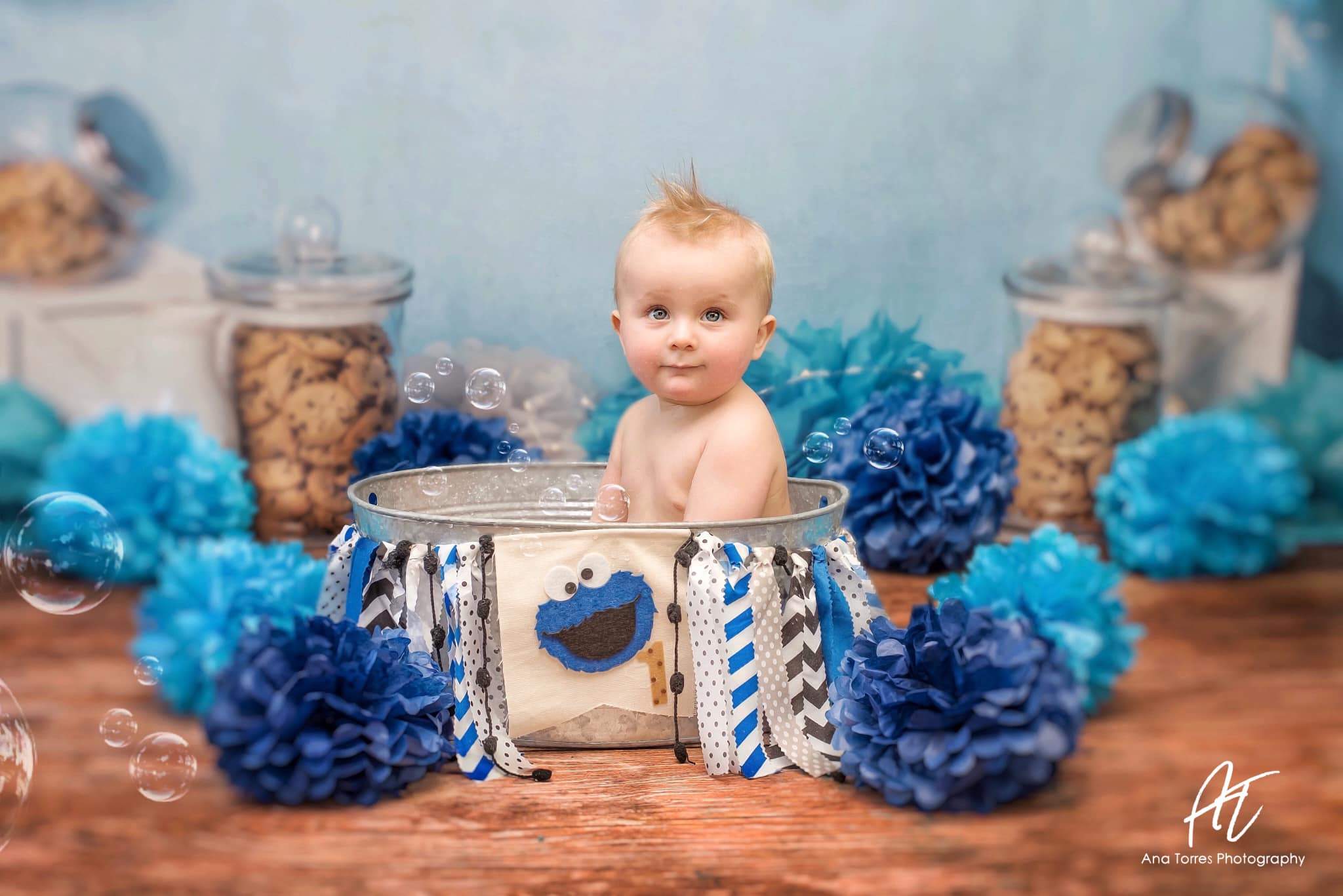 Katebackdrop£ºKate Cookie Children Backdrop Designed by Laura Lee Photography