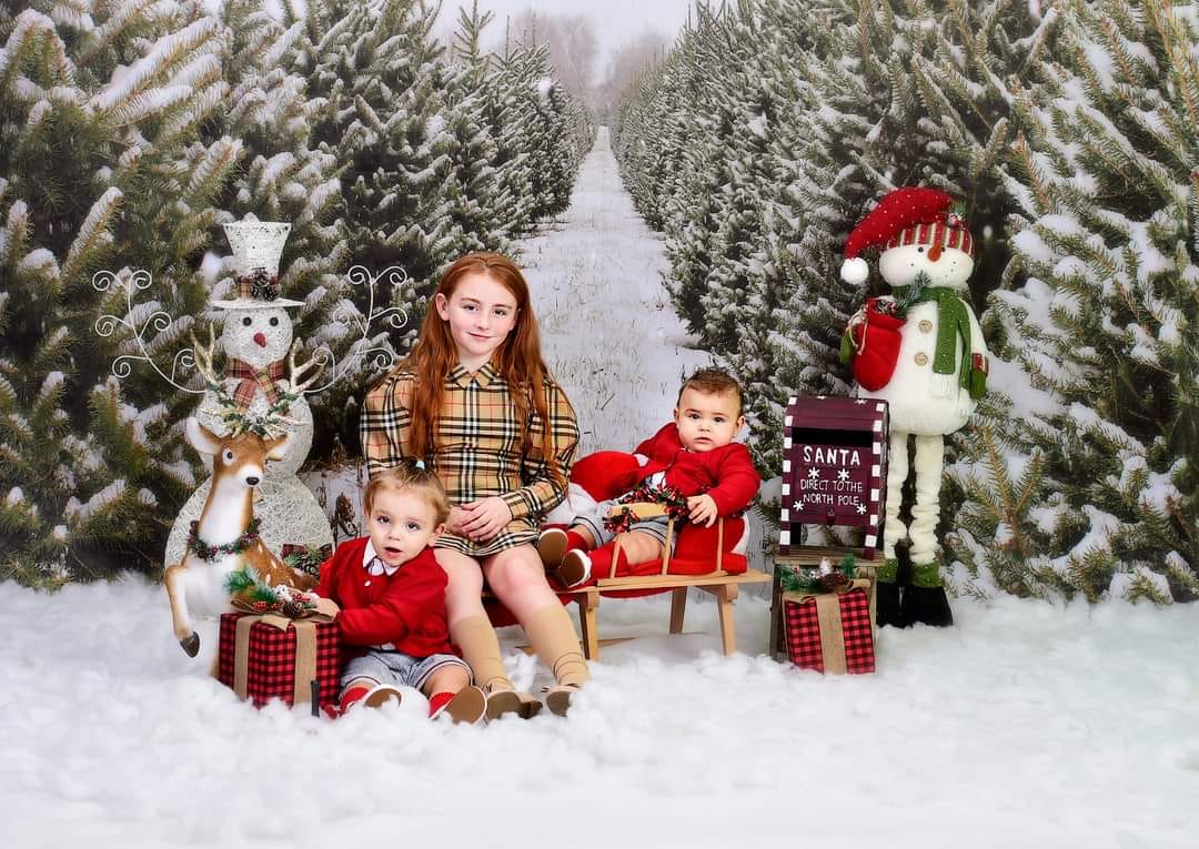 Kate Christmas Pine Tree Farm Path Backdrop for Photography - Kate Backdrop