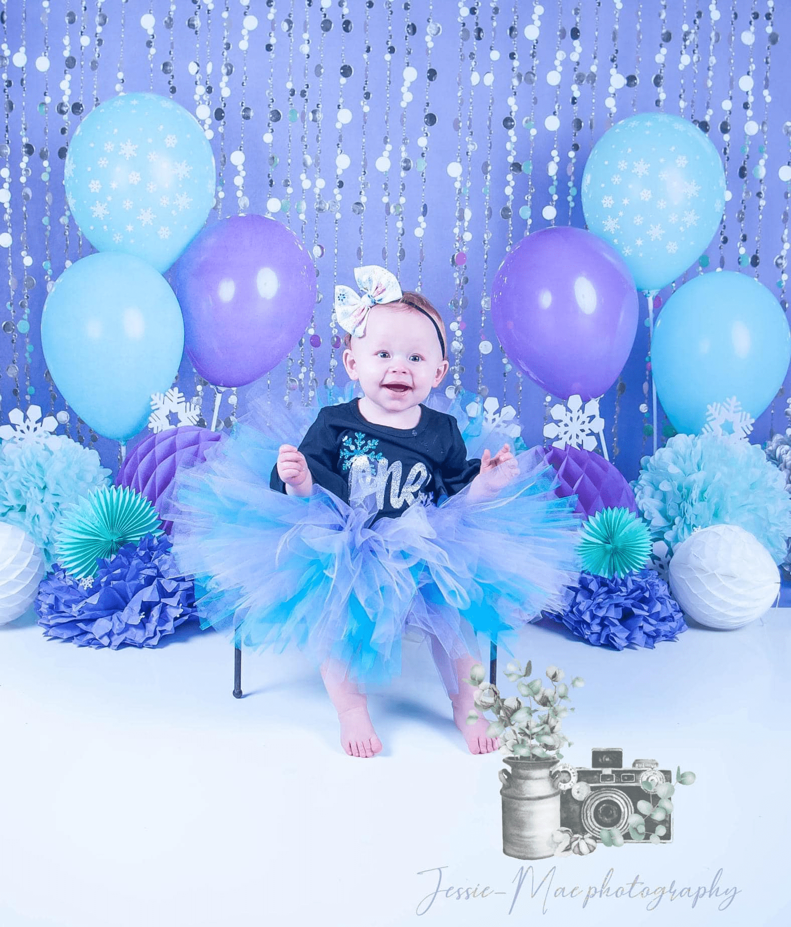 Kate Winter Onederland Purple Backdrop Designed By Mandy Ringe Photography - Kate Backdrop