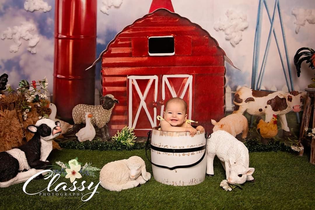 Kate Spring Barnyard Farm Backdrop Designed by Megan Leigh Photography - Kate Backdrop