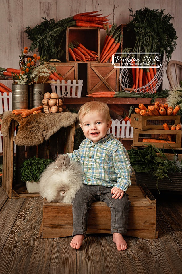 Kate Spring\Easter Carrots Children Backdrop Designed By Mandy Ringe Photography - Kate Backdrop