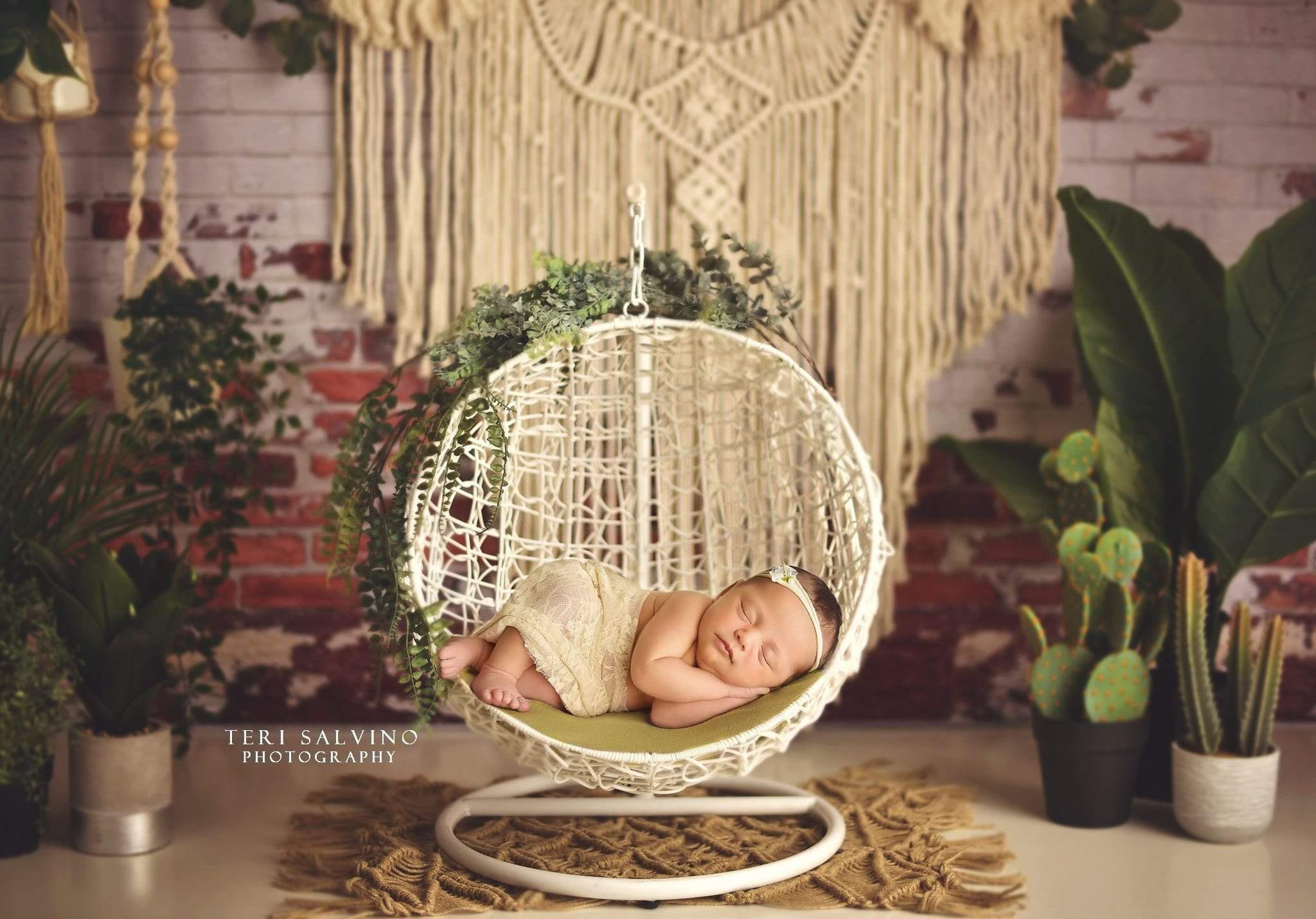 Katebackdrop鎷㈡綖Kate Spring Boho Macrame Wall with Plants Backdrop Designed By Mandy Ringe Photography