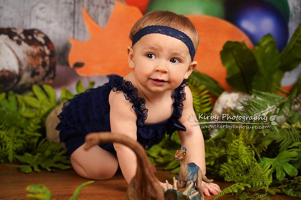 Kate Dinosaur Balloons Children Backdrop Designed By Arica Kirby - Kate Backdrop