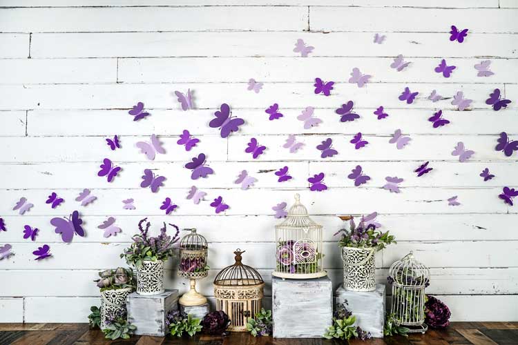 Kate Spring Purple Butterfly Plants White Wall Backdrop Designed By Arica Kirby - Kate Backdrop