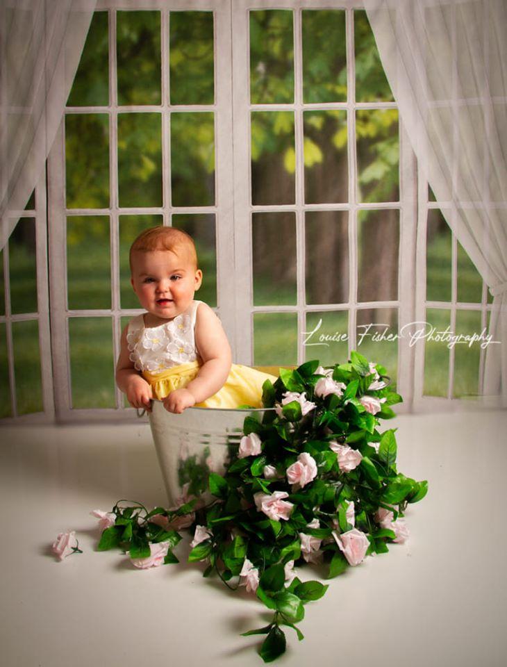 Kate Window View White Curtain Spring Backdrop Designed by JS Photography - Kate Backdrop