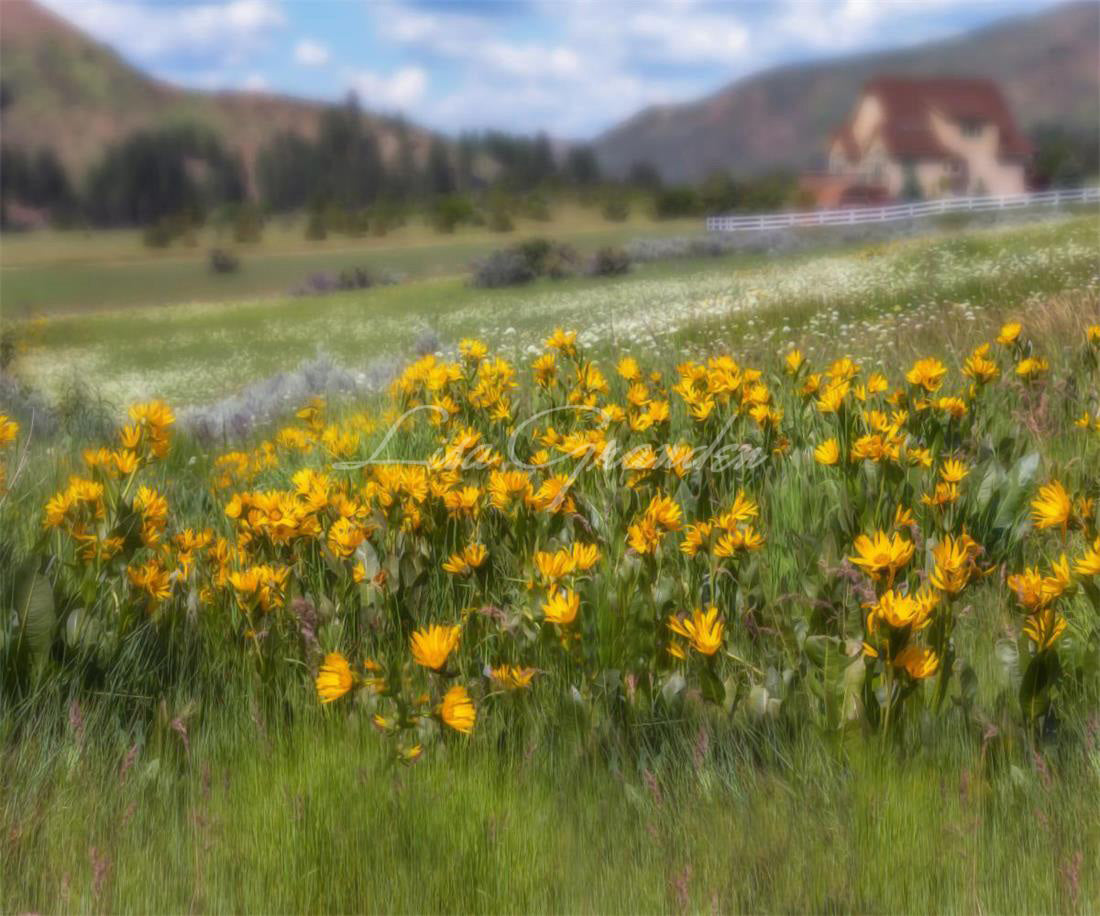 Kate Mountain Meadow Summer Sunflowers Backdrop for Photography Designed by Lisa Granden - Kate Backdrop
