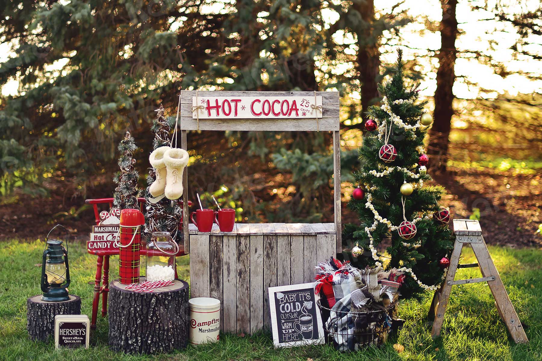 Kate Hot Cocoa Stand Backdrop Designed by Mandy Ringe Photography - Kate Backdrop