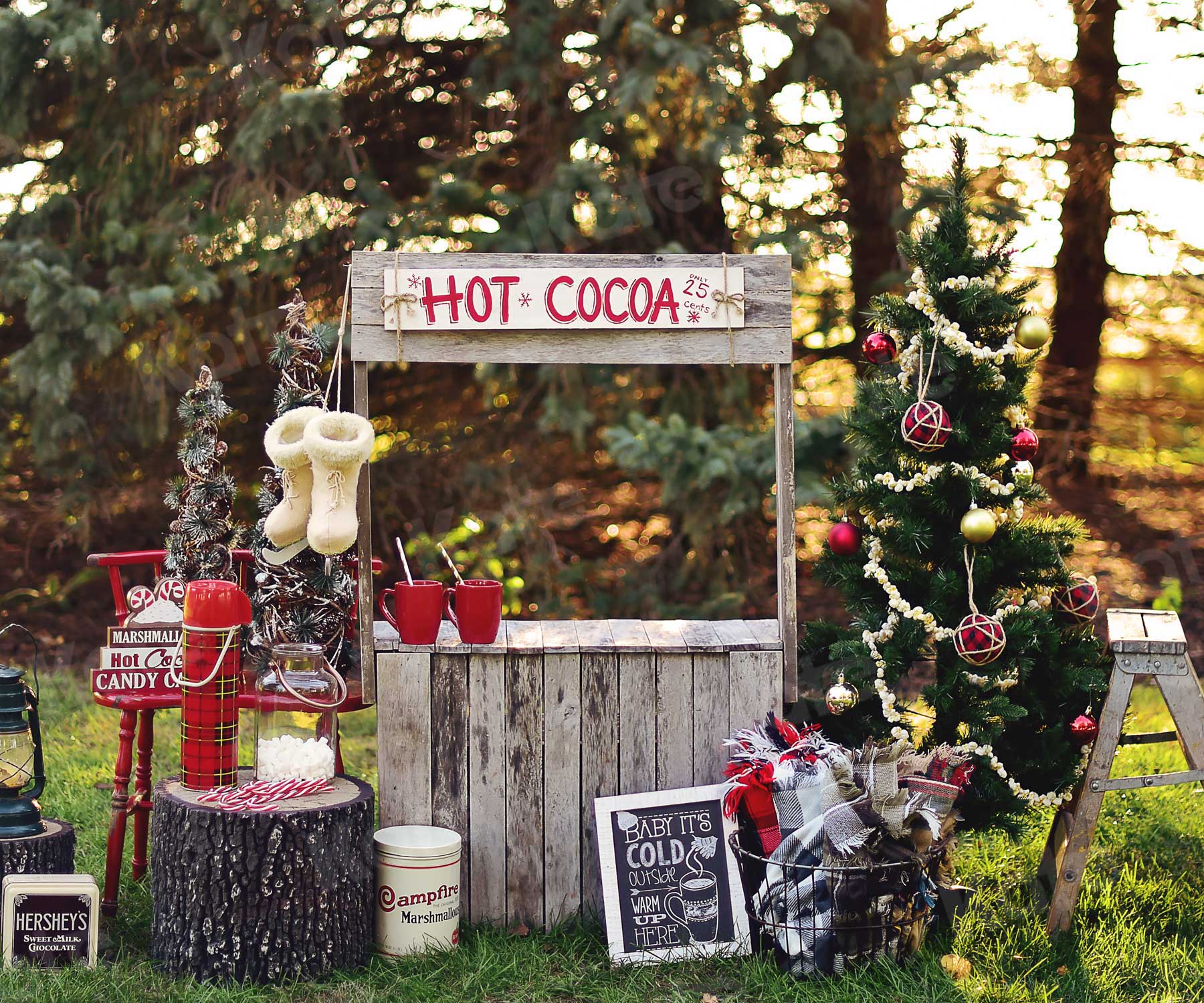 Kate Hot Cocoa Stand Backdrop Designed by Mandy Ringe Photography - Kate Backdrop