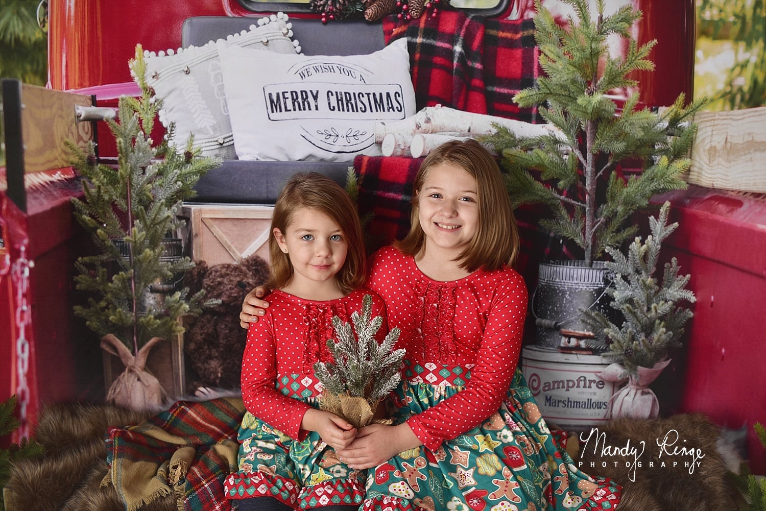 Kate Red Christmas Truck Backdrop Designed by Mandy Ringe Photography - Kate Backdrop
